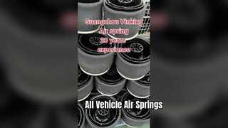 Κατασκευαστής ελατηρίου αέρα για όλα τα είδη ελατηρίου αέρα